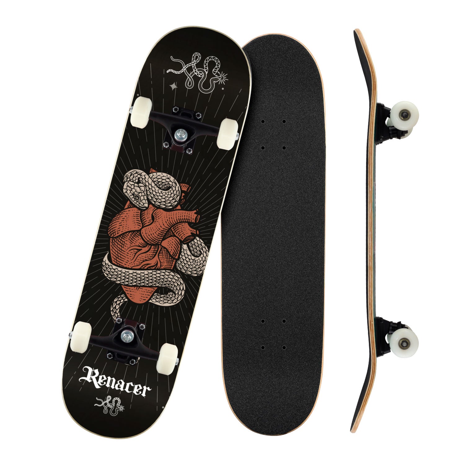 Patineta Urbana Renacer